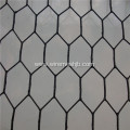 Hexagonal  Wire  Mesh